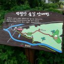 척경비로 이미지