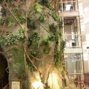 부천터미널소풍 이미지