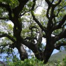 평사리주유소 이미지