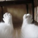 뭉실뭉실 이미지