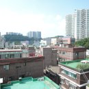 중앙동165 이미지