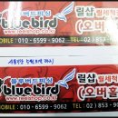 블루버드피싱