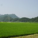 구산4리 Daum카페