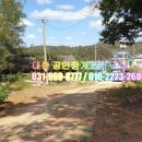 단호박공인중개사사무소 이미지