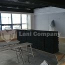 더휘트니스 이미지