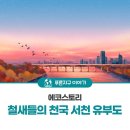 에코스토리 이미지