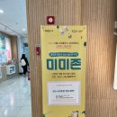 미미존 이미지