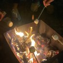 금수문화공원야영장 이미지