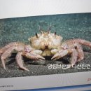 영렘브란트다산진건센터미술학원