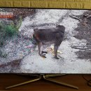 승배농장 이미지