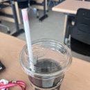 3월 4주 : 가지가지 라이프
