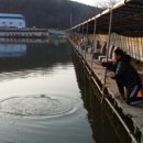 당골낚시터 이미지