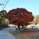 회곡1리 경로당 이미지