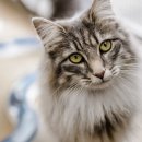 지수동물병원 이미지