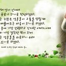 빵세상 이미지