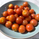 일상 (직장인 점심, 삼진어묵 김치우동어묵전골, 술꾼도시여자들, 드라마 정주행, 정동 어반가든 회식)
