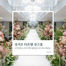 카페나롬 | [자료공유] 을지로 PJ호텔 뮤즈홀 27년 견적공유(위치, 주차, 홀, 연회장 분위기)