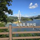 전주 옥정호 붕어섬 출렁다리 이미지