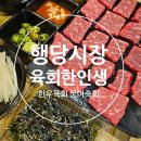 육회한인생 이미지