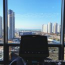 변현선의 풀바디짐 이미지