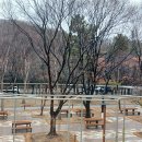 두류3동 이미지