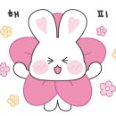 인제휘트니스 이미지