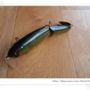 살랑더테일 이미지