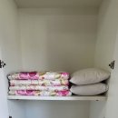 제부 포레스트 이미지