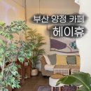 거제초등학교 | [부산 양정 카페] 고즈넉한 작은 제주도를 담은 헤이휴