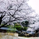 홍교 주차장 이미지