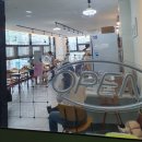 호수로 간 고양이 | 시흥 은계 호수로 간 고양이 카페 아이와 가볼만한 고양이 카페
