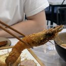 돈카와치장충동점