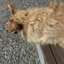 섬진강댁 이미지