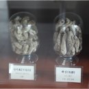 대조한의원 이미지