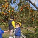 동백골한옥민박 이미지