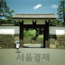 정치02 이미지