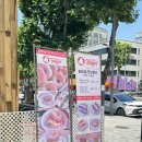 모모과일 | 모모베이글 삼성본점 : 강남 과일샌드 베이글 과일베이글 맛집 리얼후기 가격값하나?