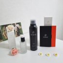 헤어센스 | 올리브영 추천 헤어에센스 파이브센스 헤어폼 헤어오일 후기