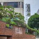 365조은약국 이미지