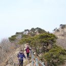 천장골