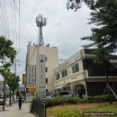 지니미트 | 시내 점심 직장인점심생활 봉명동맛집 포레스트 오늘,숲 왕갈비쌀국수, 매운쌀국수, 미트힐라이스 후기