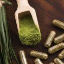 중년과새싹 이미지