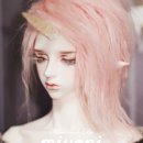 일루젼가든돌 이미지