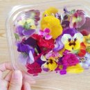 황둔중학교 이미지