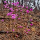 기룡농장 이미지