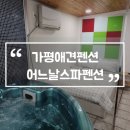가평애견펜션 어느날스파펜션 반려견 행동교정 전문