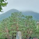 용문산그린펜션 이미지