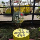 바이크크크 이미지