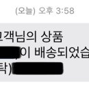 블루베베 이미지