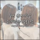 Premium hair salon 머뭄 울산본점 | 울산 삼산 미용실 오네뜨헤어살롱본점 단발 맛집
